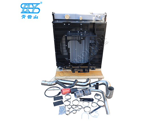 Baudouin DHM16d0038 6M16G220 Radiator 1002900728 for 187kW Generator Set